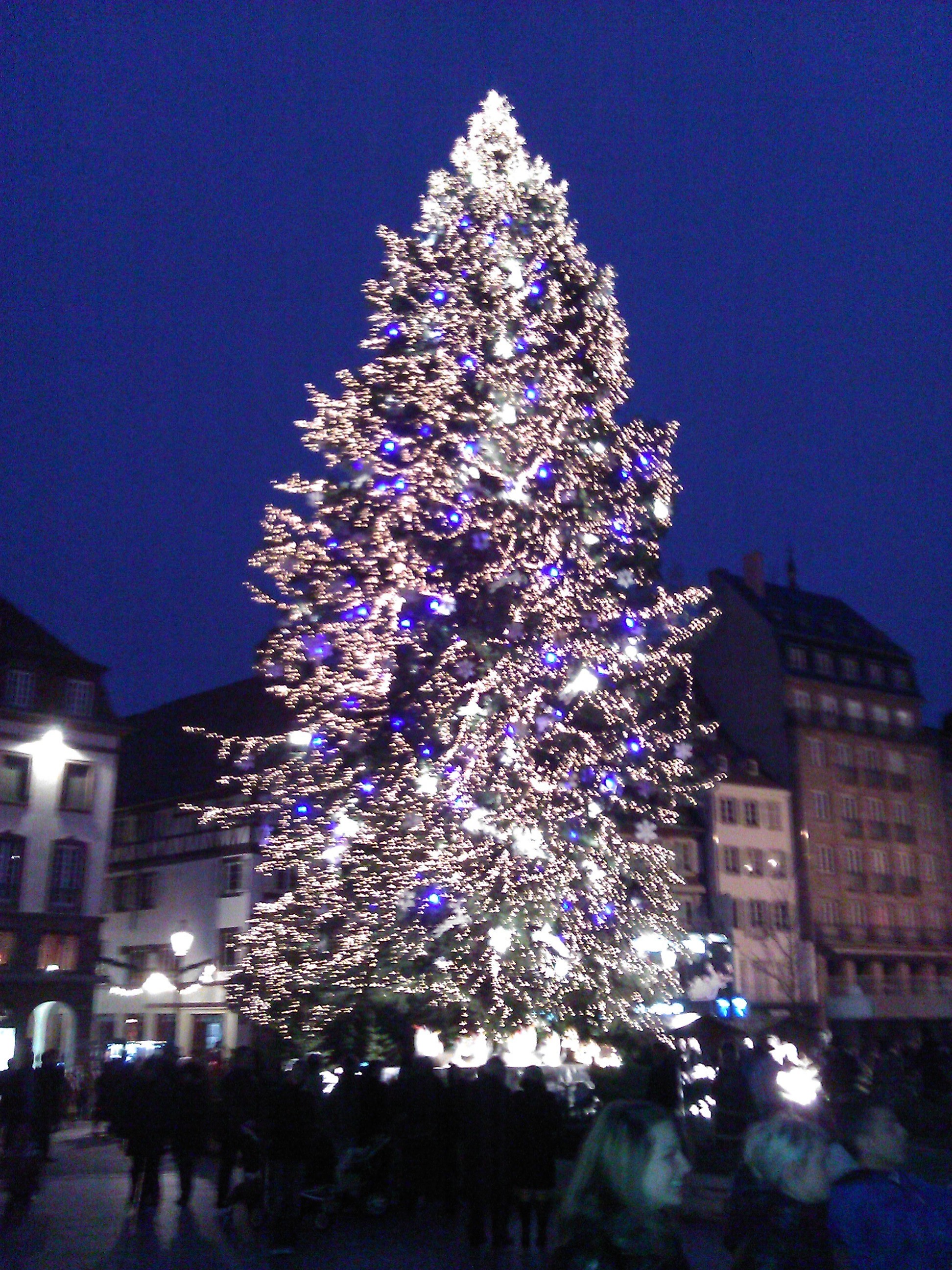 Sapin de Strasbourg, Noël 2011
